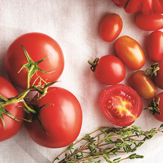 Çok Amaçlı Domates Sos