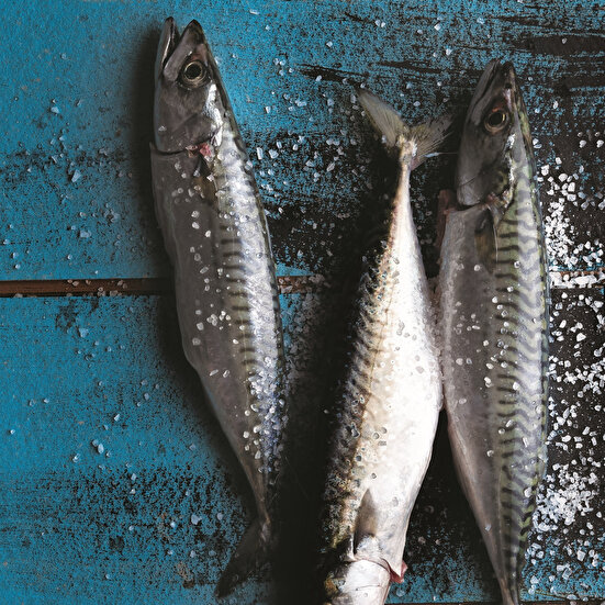 Tencerede Bol Sebzeli Uskumru