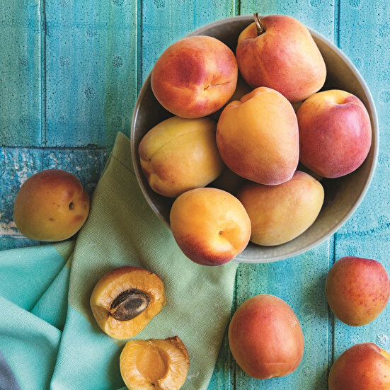 Mis Kokulu: Kayısılı Mekik