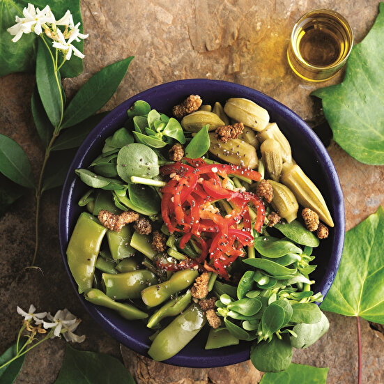 Soğuk Fasulye Salatası