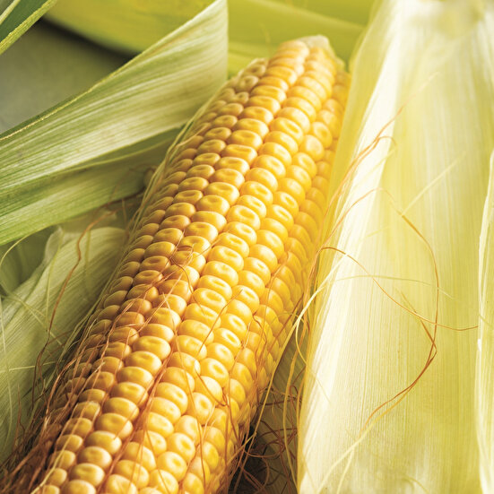 Taze Kekikli Sarımsaklı Mısır