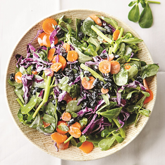 Siyah Fasulyeli Semizotu Salatası