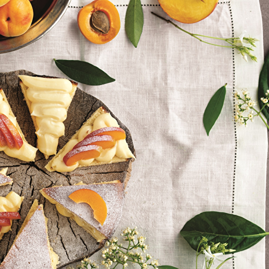 Kayısılı Pandispanya