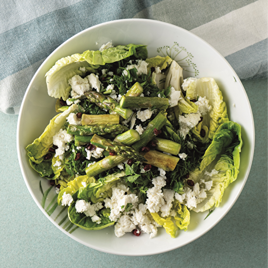 Kuşkonmazlı Renkli Salata