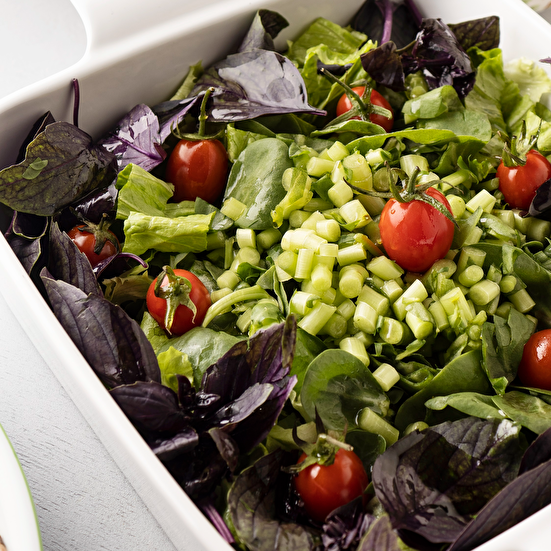 Semizotu Reyhanlı Yeşil Salata