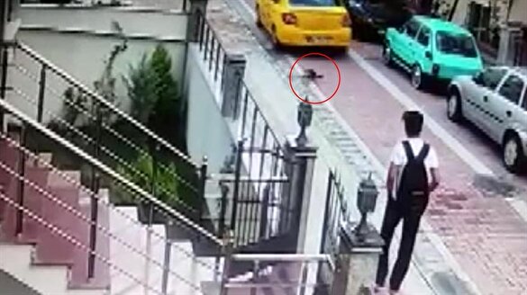 Minik köpeği ezdi, arkasına bile bakmadı