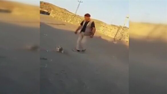 Yavru köpeğe eziyet eden vicdansız sosyal medyayı ayağa kaldırdı!