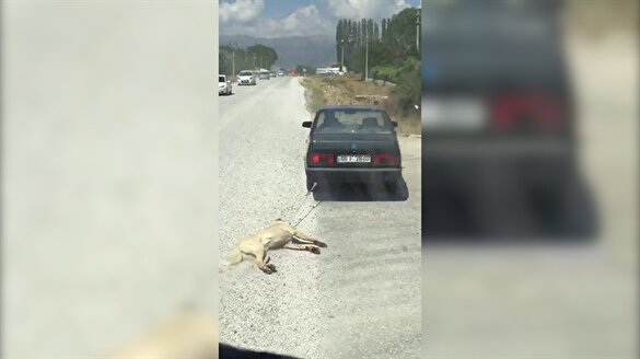 Kopegi Arabaya Baglayip Surukleyen Adamin Cezasi Belli Oldu