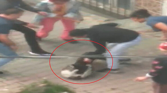 istanbul sultangazi de pitbull dehseti