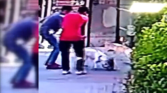 istanbul un gobeginde pitbull dehseti