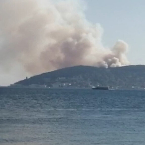 İstanbul son dakika haberi: Heybeliada'da korkutan yangın