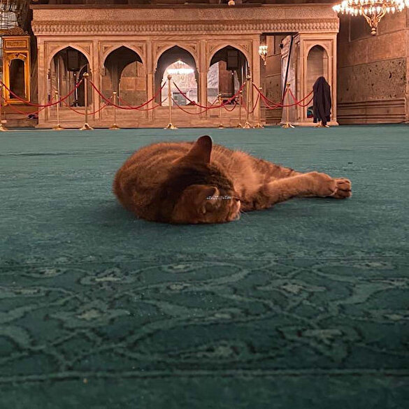 Ayasofya'nın bekçisi Gli