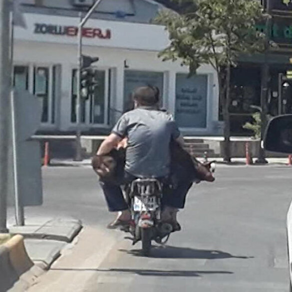 Kurbanlık koyunu motosiklette aralarına alarak taşıyan iki arkadaş oluşturdukları ilginç görüntü ile gündem oldu