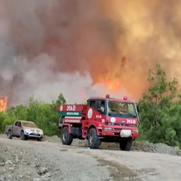 Hatay'da korkutan yangın: Rüzgarın etkisiyle ormanlık alana ilerliyor