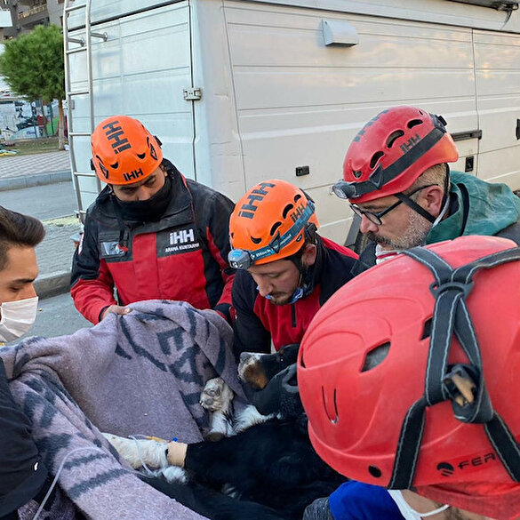 Enkazdan 58 saat sonra çıkarılan Ares sağ olarak kurtarıldı