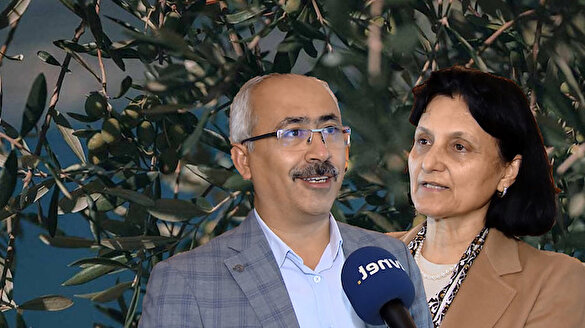 Zeytin yaprağındaki mucize: Koronavirüsle savaşıyor
