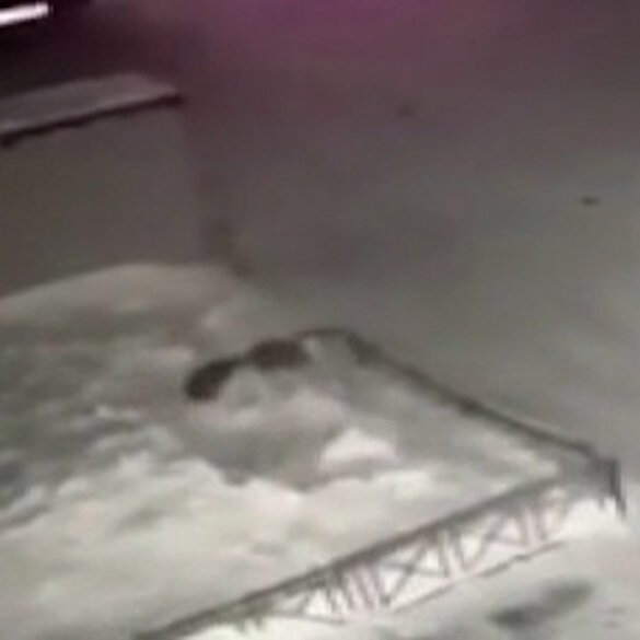Rusya'da 4. kattan düşen çocuğu yerdeki kar birikintisi kurtardı