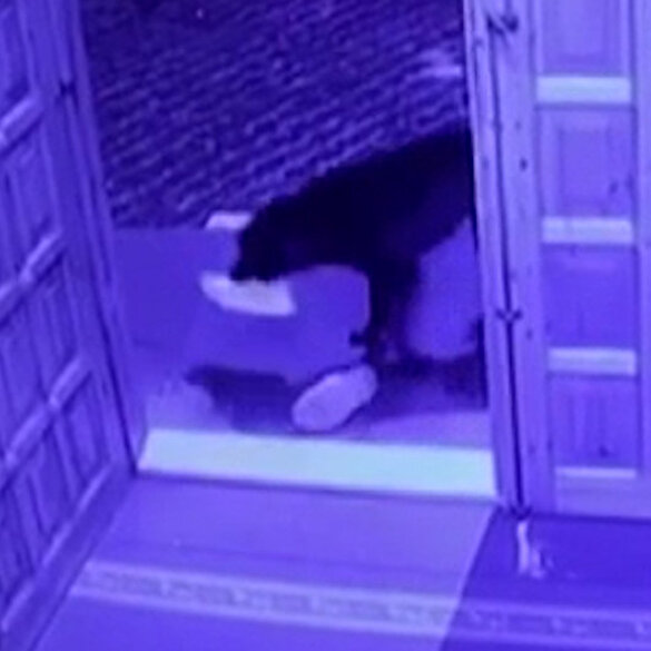 Cami cemaatinin ayakkabısını çalan sevimli hırsız kamerada