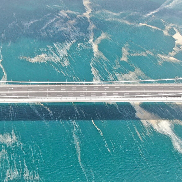 Osmangazi Köprüsü’nü saran deniz salyası havadan görüntülendi