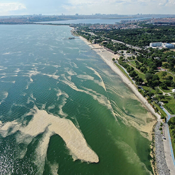 Deniz salyası bu kez Bakırköy kıyılarını sardı