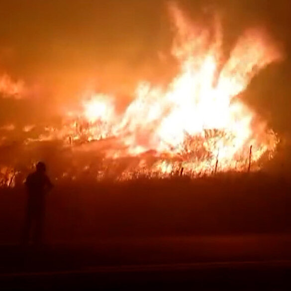 İspanya yangınlarla boğuşuyor: 12 bin hektarlık alan küle döndü
