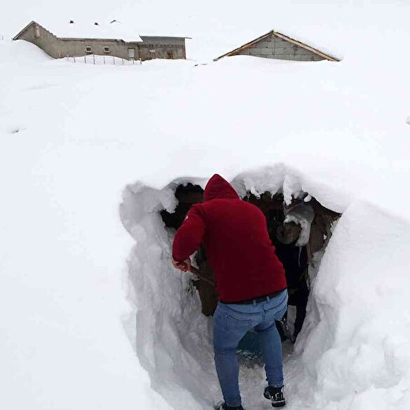 Muş’ta bir köy kara gömüldü: Ulaşımı açtıkları tünellerle sağlıyorlar