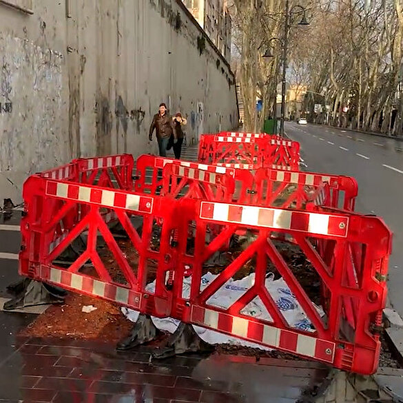 İBB asırlık çınar ağaçlarını reklam panosu için mi kesti: Gizlemek için ağaç köklerine beton döktüler