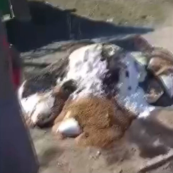 Ukrayna halkı Rusya'dan gelen yardımları sokak ortasında yaktı