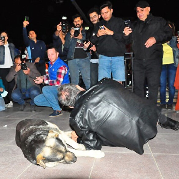 Haluk Levent sokak köpeğiyle birlikte yere uzanarak şarkı söyledi