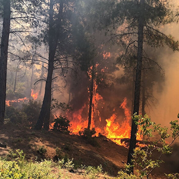 Hatay Belen'de korkutan orman yangını: Vatandaş PKK'ya ateş püskürdü