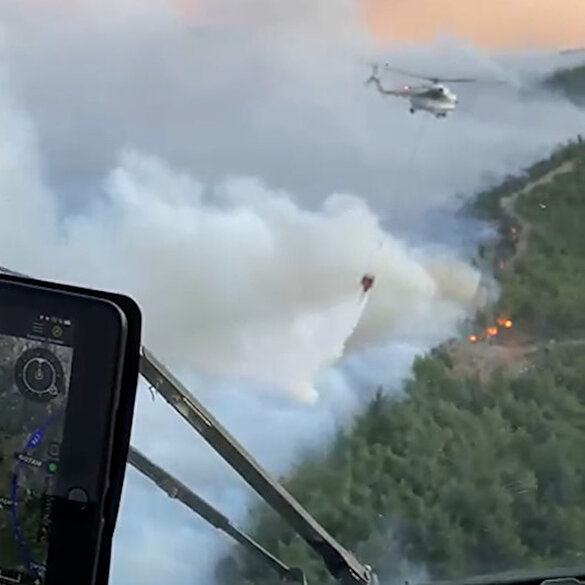 Aydın'daki orman yangınına uçak ve helikopterler müdahale ediyor