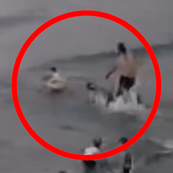 Trabzon'da denizde köpeğin ısırdığı çocuk yaralandı