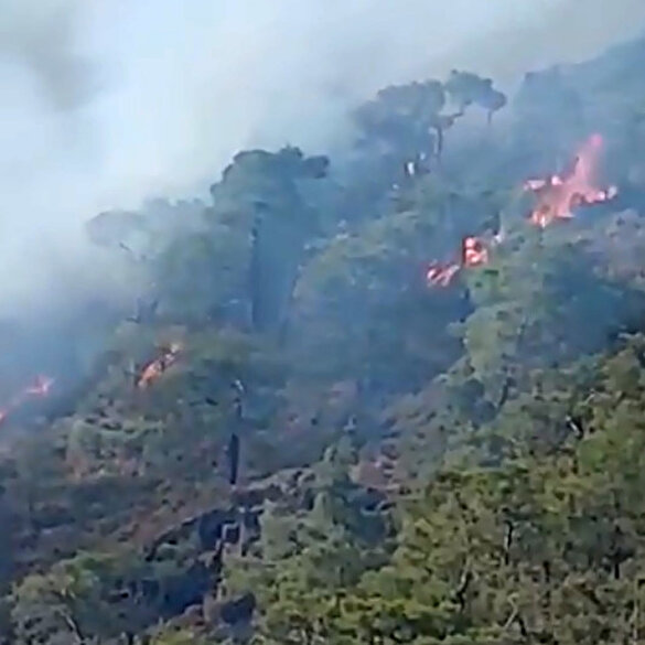 Antalya'da orman yangını 1 saatte kontrol altına alındı