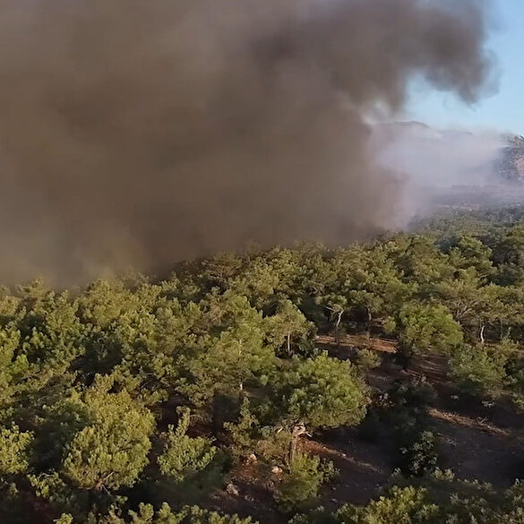 Mersin Gülnar'daki orman yangınına havadan ve karadan müdahale ediliyor