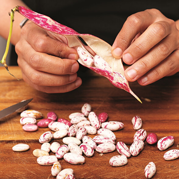 Karışık Sebze Sote