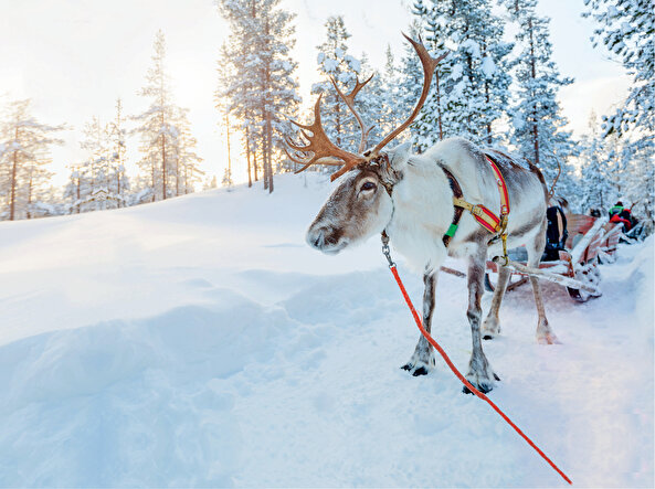 Finlandiya Lapland’ında keşfedilecek doğal güzellikler ve unutulmaz kış aktiviteleri