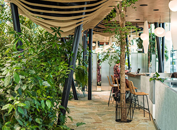 Tropikal ormanda çalışma keyfi: Exotic Workplace Garden