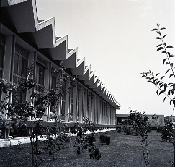 20. yüzyılın önemli endüstriyel yapılarından biri: Vakko Fabrikası