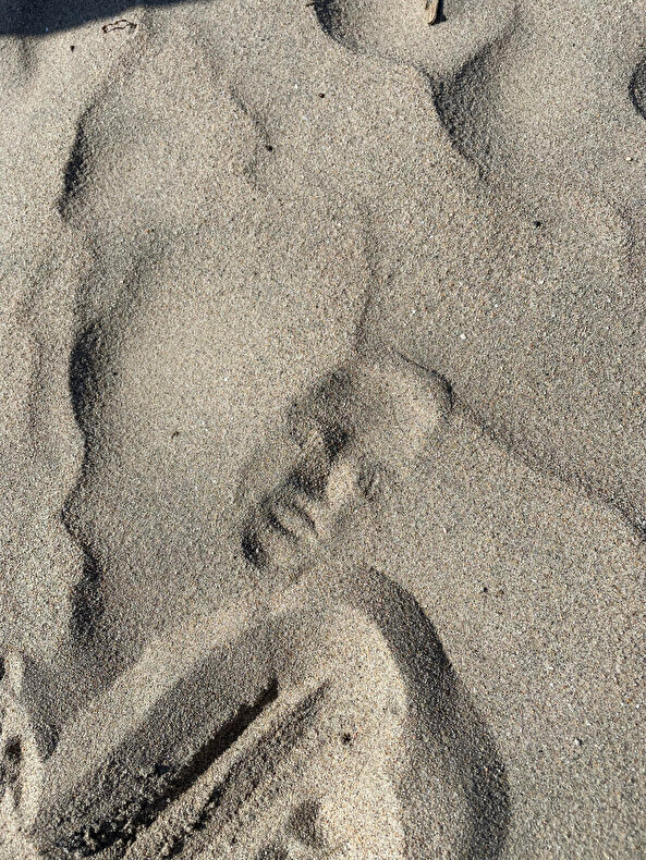 Bedenim buradayken zihnimin bulunduğu konum