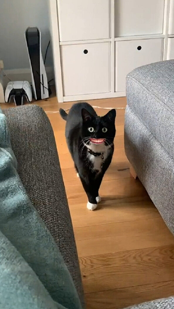 Neden böyle bir şey yapıldı ki?