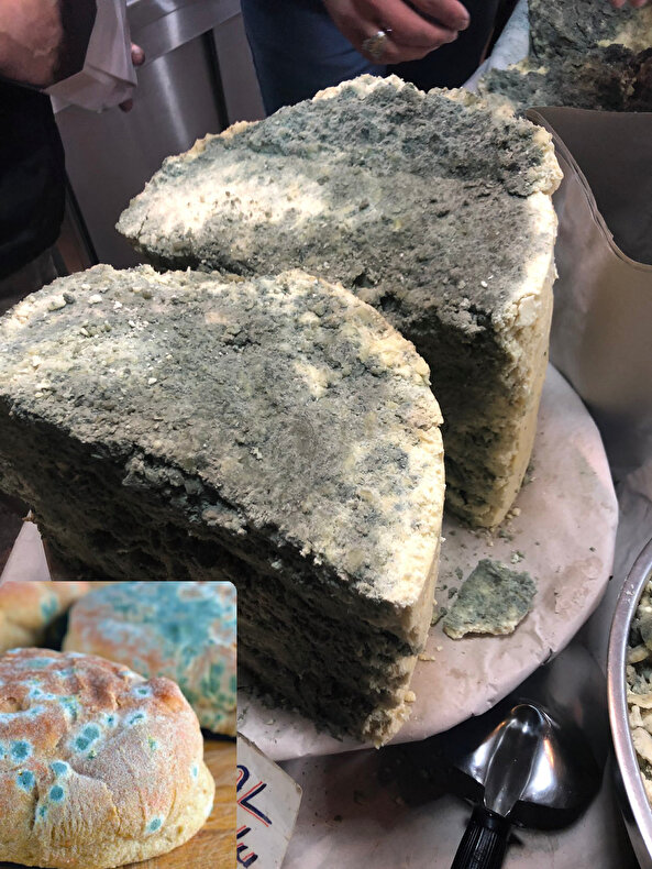 Küflü gıdalar tüketilebilir mi?