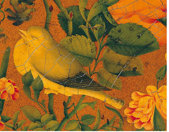 Hayvanların divan edebiyatına kattığı renklere dair