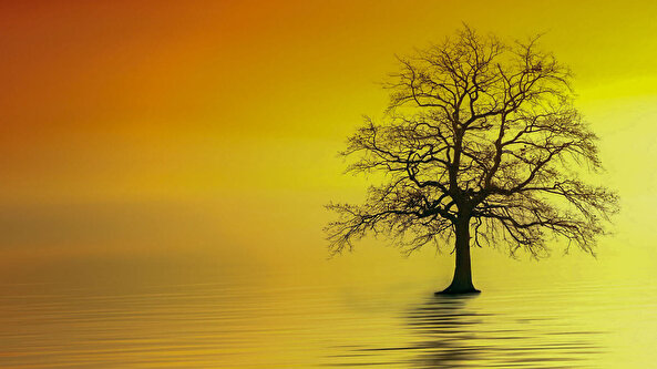 İlkbaharda geçmişe dönüp kaçırdıklarımızı sorgulamak neden önemli