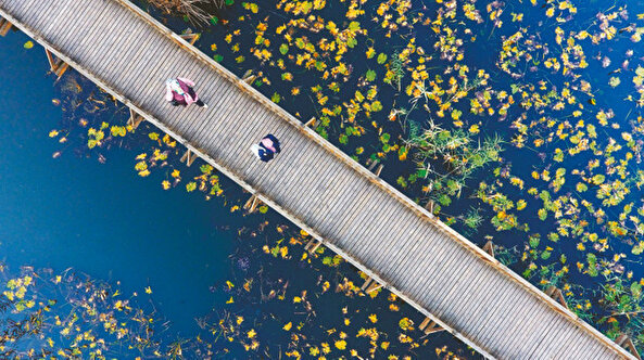 Bugün hayatın anlamını sorgulatan kitap, şiir ve filmlerden ilham alın