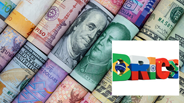 Doların gücüne meydan okumak