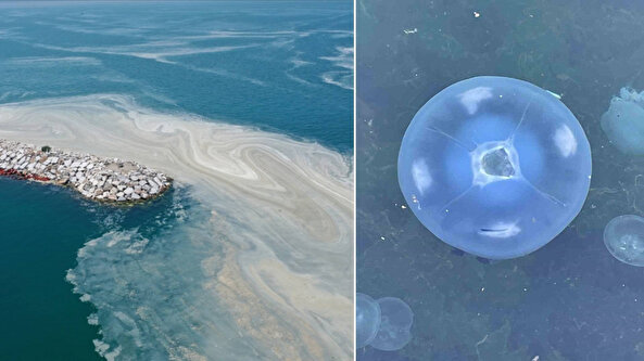 Marmara'nın kabusu geri döndü: Balık tutamaz hale geldiler