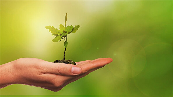 "Yeşil Vatan Seferberliği" başlıyor: Bir yılda 550 milyon fidan ve tohum ekilecek