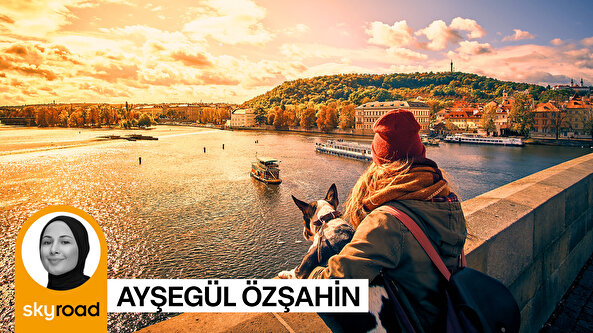 İtalya tartışıyor: Köpekler vergi mükellefi mi oluyor?