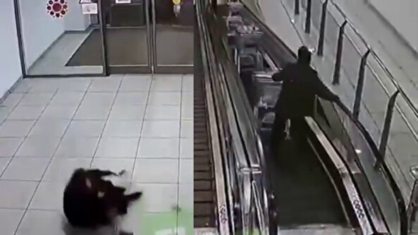 Bir anlık dikkatsizlik felakete yol açtı: Yürüyen merdivenden düşen arabalar müşteriyi ağır yaraladı