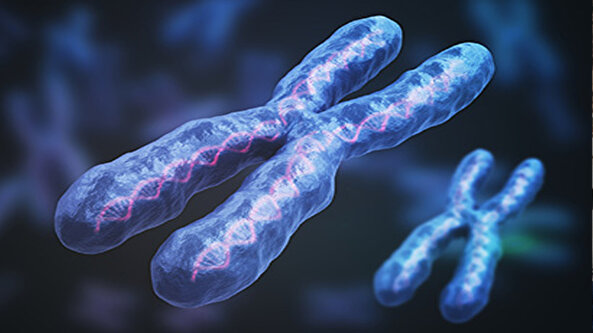 Erkekler yok mu olacak? Bilim insanları öyle bir haber verdi ki...